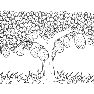 Jackfruit coloring pages printable for free download