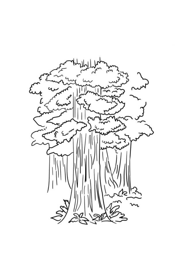 Strong tree trunks coloring page