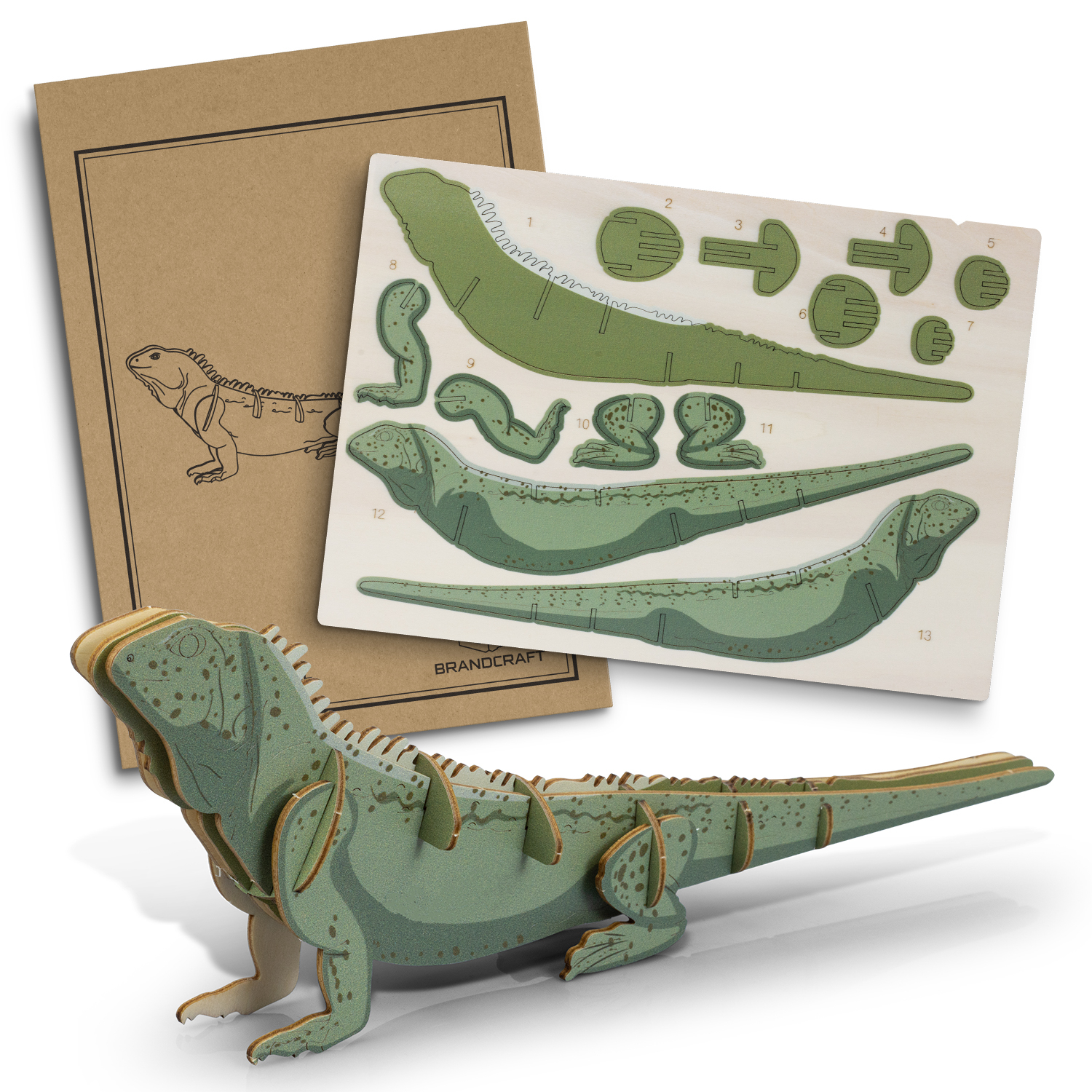 Brandcraft tuatara wooden model
