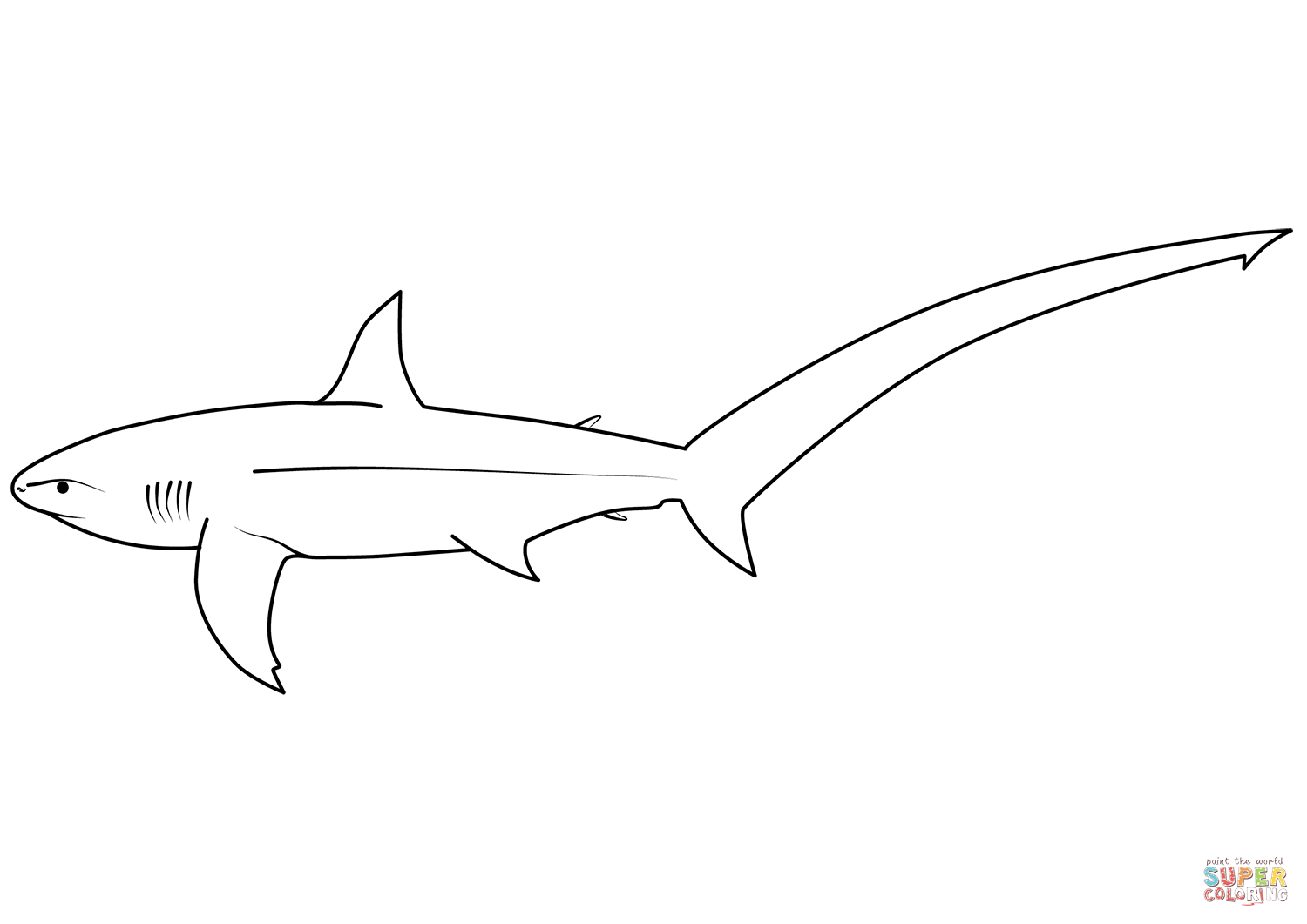 Desenho de tubarão