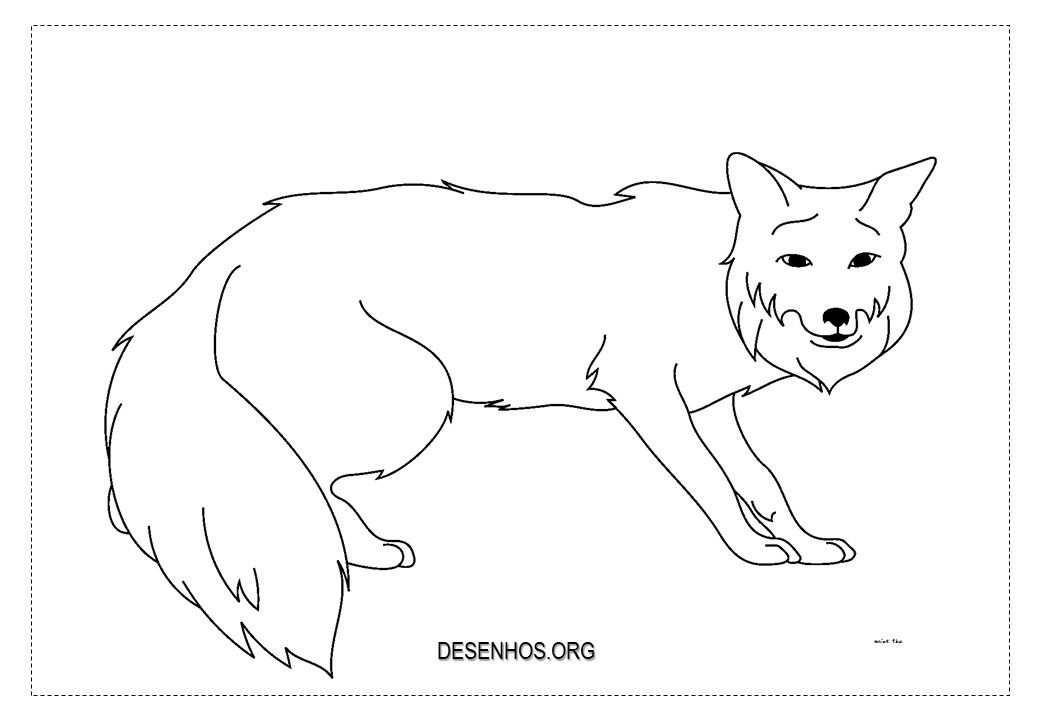 Raposas para colorir colorir desenhos para colorir raposa