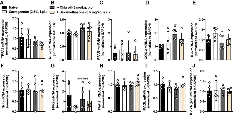 Chia oil prevents chemical and immune