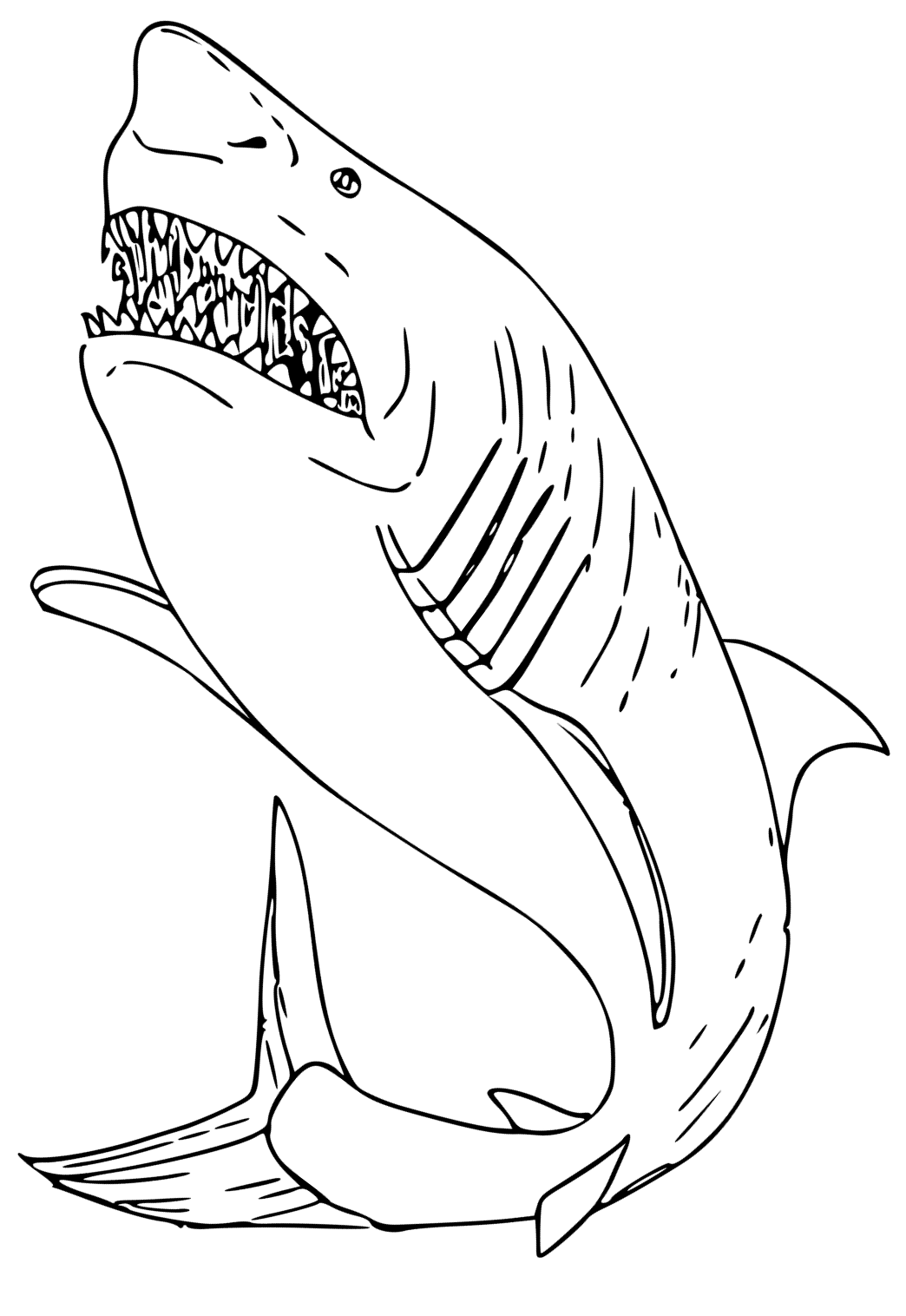 Desenho e imagem grande tubarão branco real para colorir e imprimir grãtis para adultos e crianãas