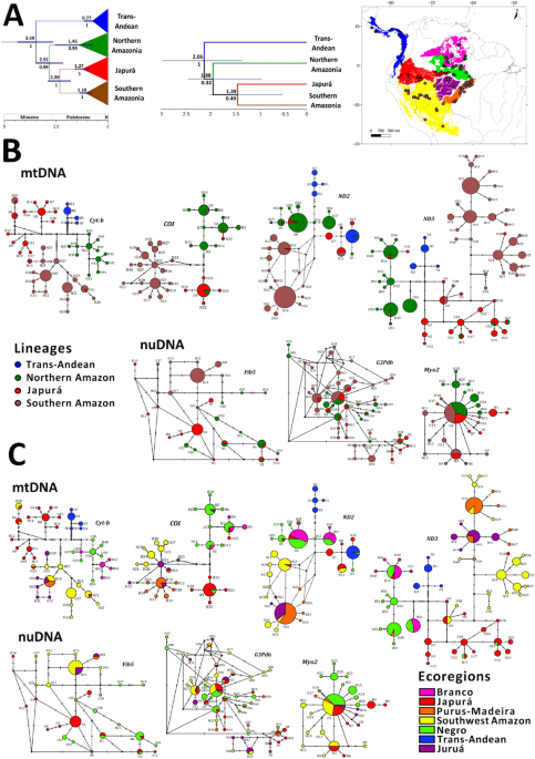 Geographic drivers of genetic and plumage color diversity in the blue