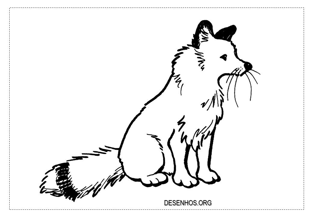 Raposas para colorir fox coloring page avengers coloring pages horse coloring pages
