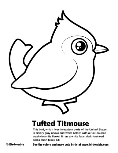 Tufted titmouse coloring page by