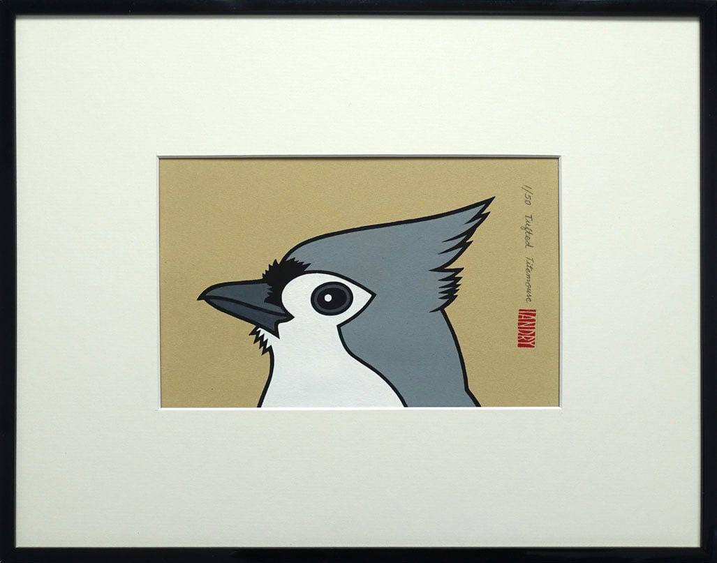Tufted titmouse bmorebirds