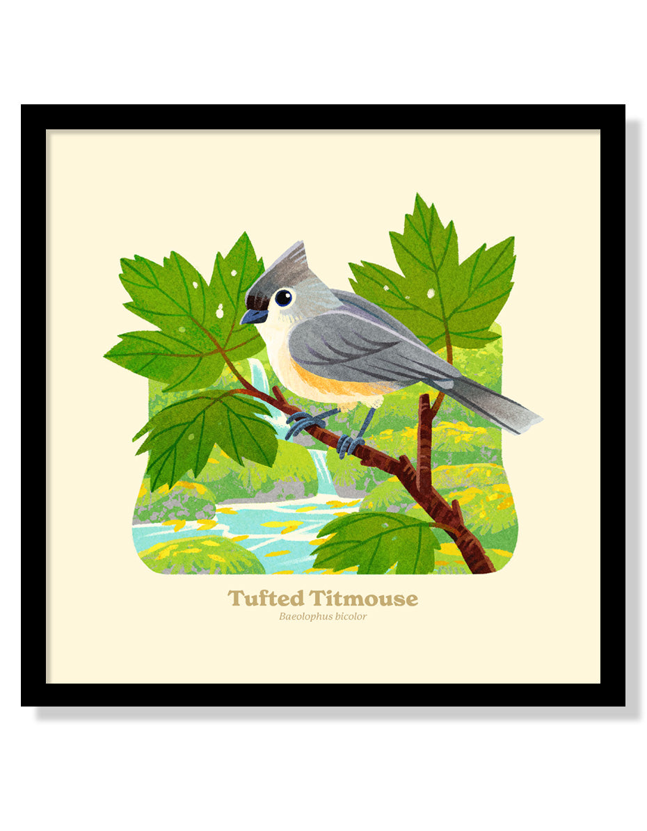 Tufted titmouse national park alphabet print â fifty
