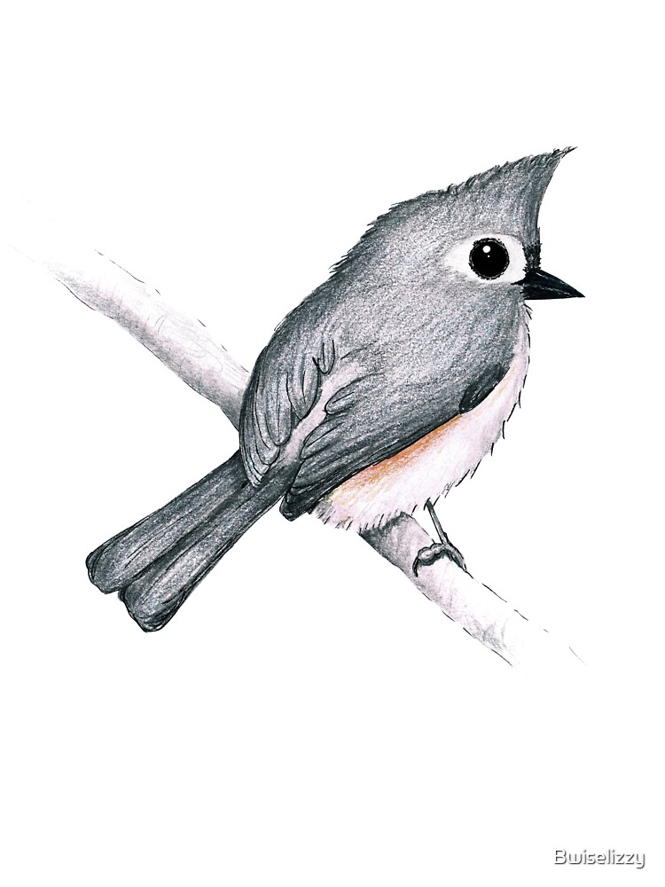 Tufted titmouse kids t