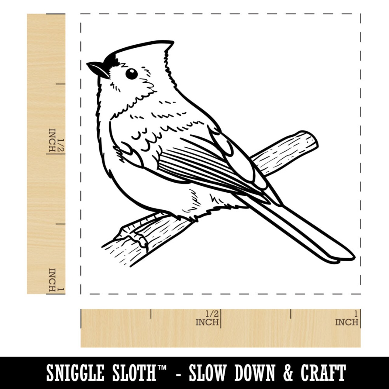 Perky tufted titmouse bird self