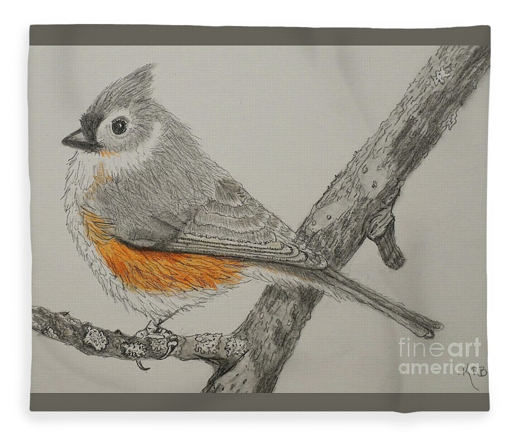 Titmouse drawing fleece blanket by karen beasley