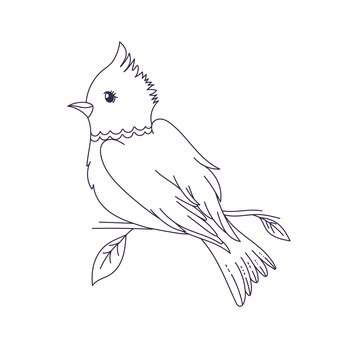 Page bird coloring page vectors illustrations for free download