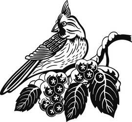 Tufted titmouse vector images