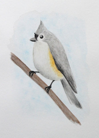 Bird series tufted titmouse â back to the drawing board