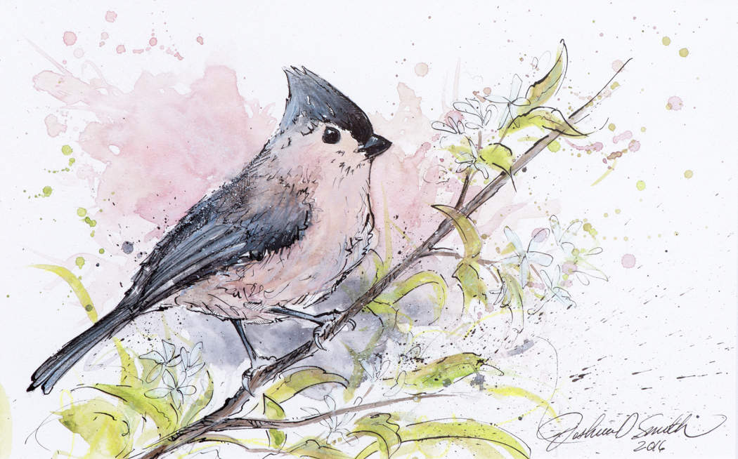 Tufted titmouse â green beetle shop