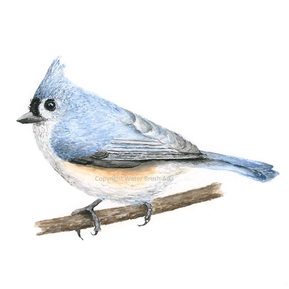 Tufted titmouse watercolor print x inches handmade products