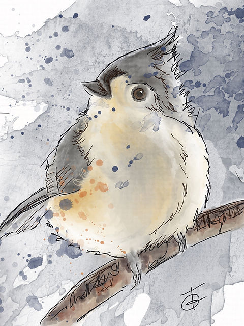 Tufted titmouse print terry ganey studio