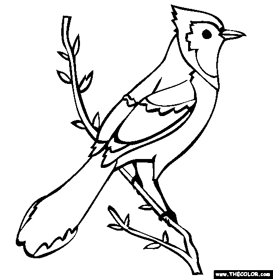 Free birds coloring pages color in this picture of an blue jay and others with our library of online colâ bird coloring pages bird drawings coloring pages