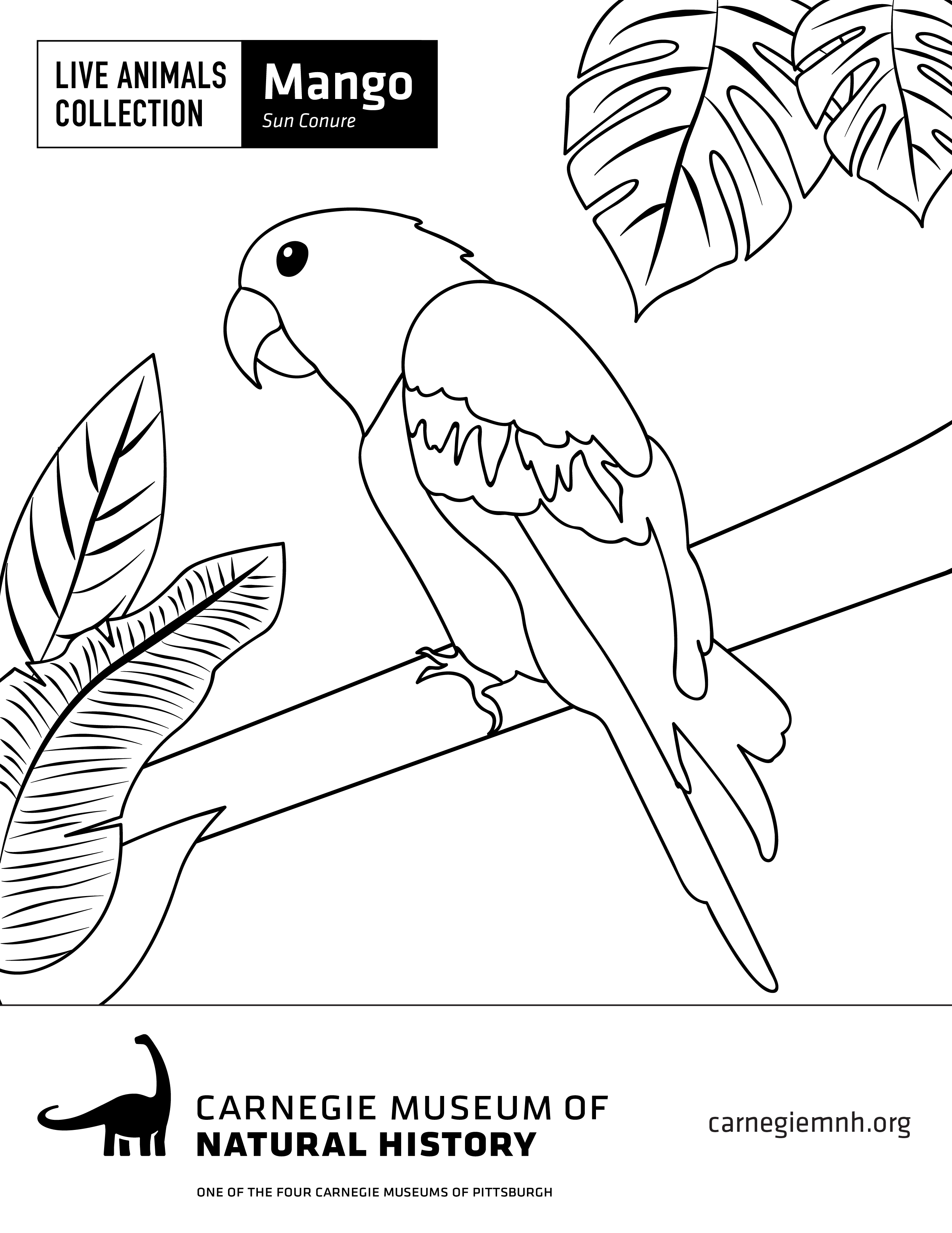 Coloring pages