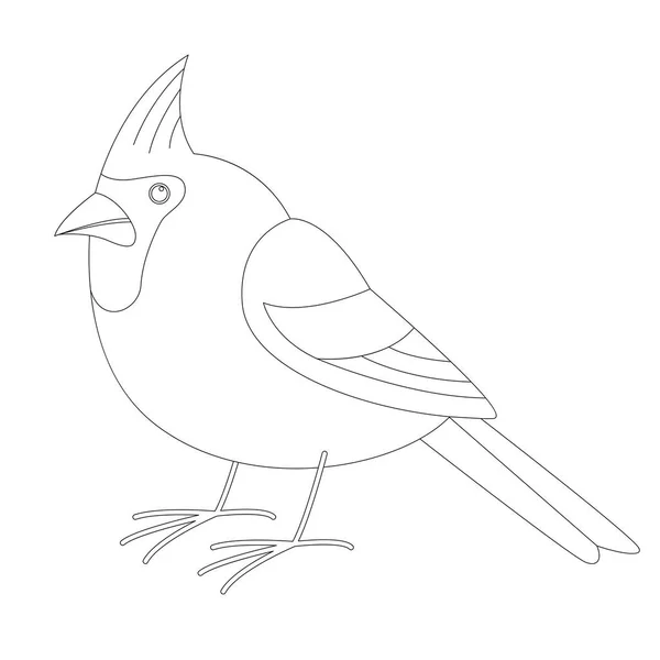 Tufted titmouse vector images
