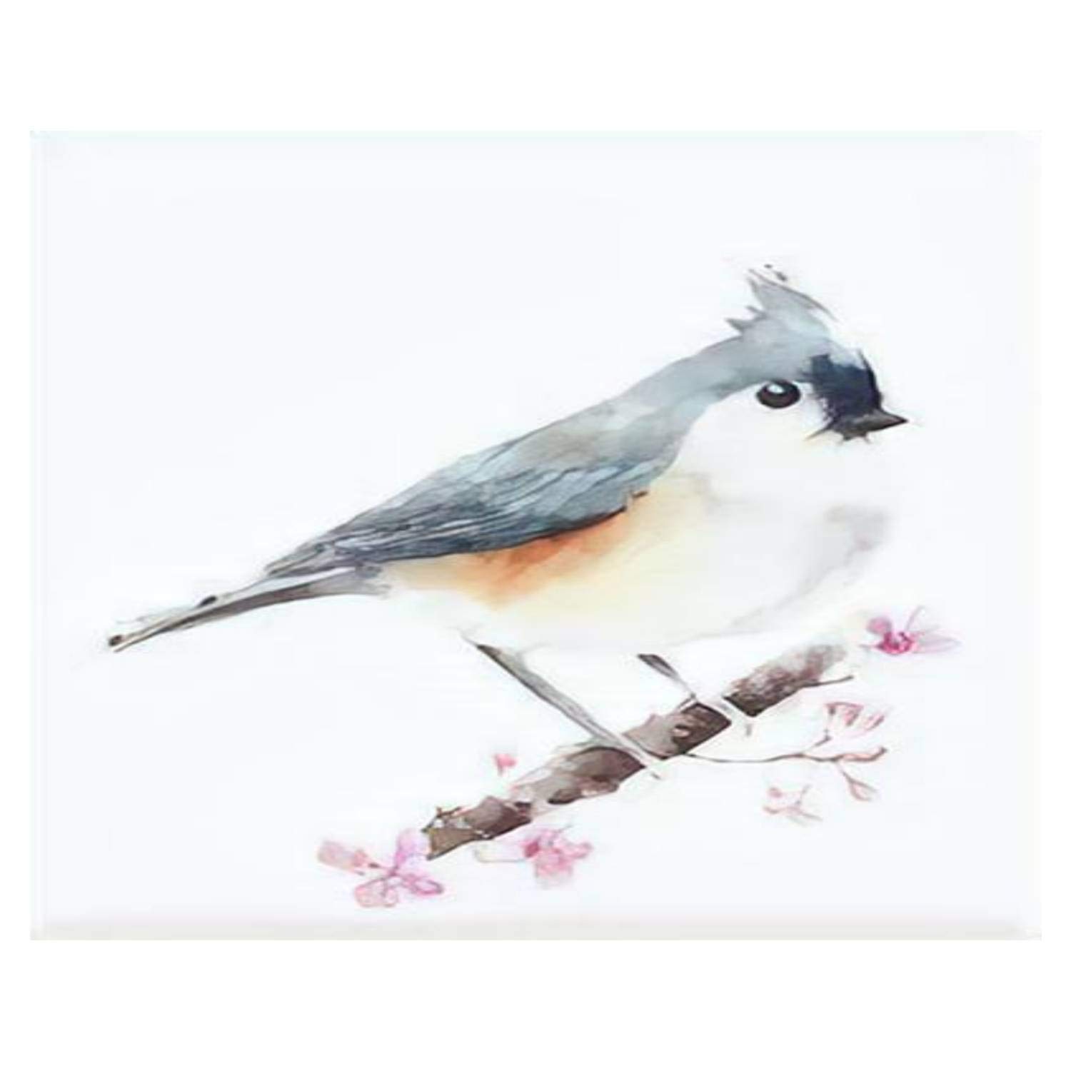 X tufted titmouse small bird sitting on the branch watercolor painting paint by numbers kits for adults kids diy wall art picture framed nvas oil painting set digital paintworks for beginners