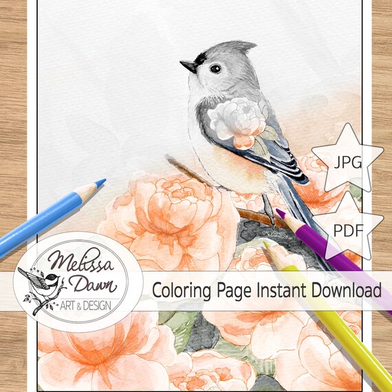 Bird coloring page peony coloring page bird coloring sheet tufted titmouse coloring page bird coloring page printable peony color