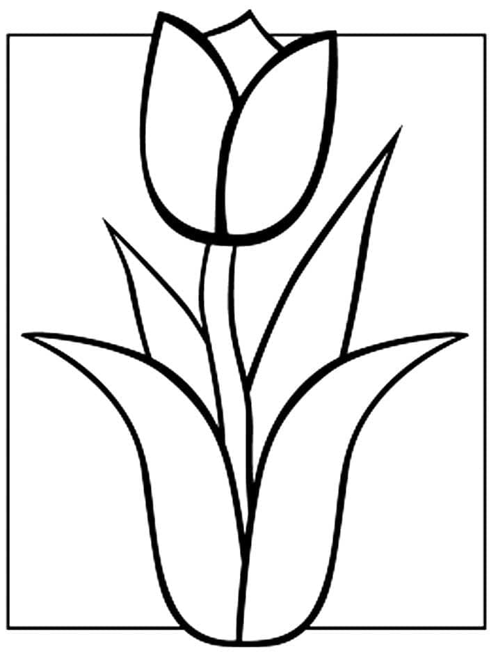 Free tulip coloring page