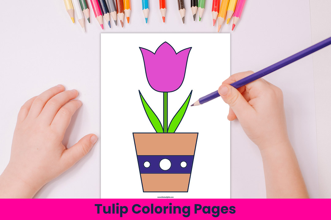 Free printable tulip coloring pages pdfs
