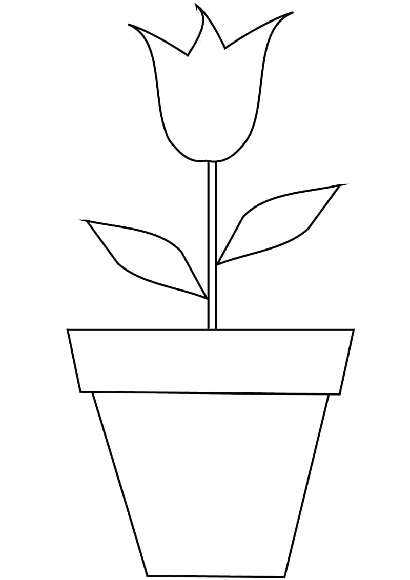 Very simple tulip coloring page