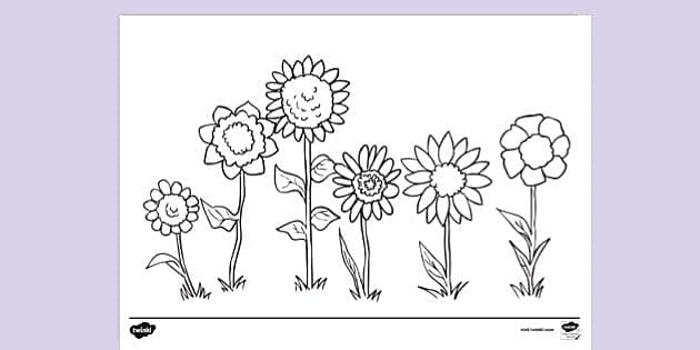 Spring flowers to lour creative primary resources