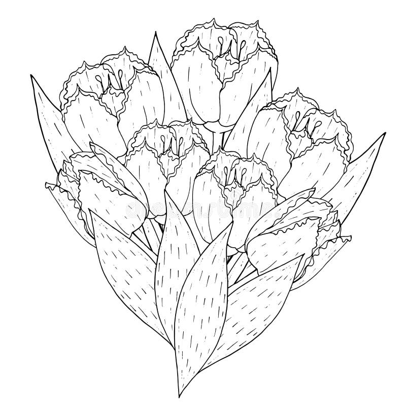 Tulip templates stock illustrations â tulip templates stock illustrations vectors clipart
