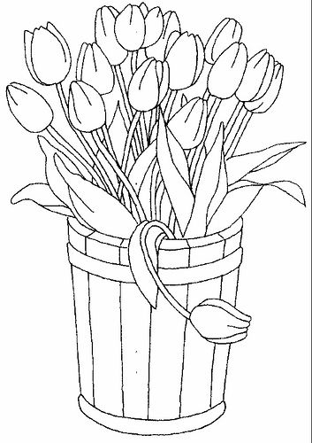 Tulips tulip colors flower coloring pages coloring pages