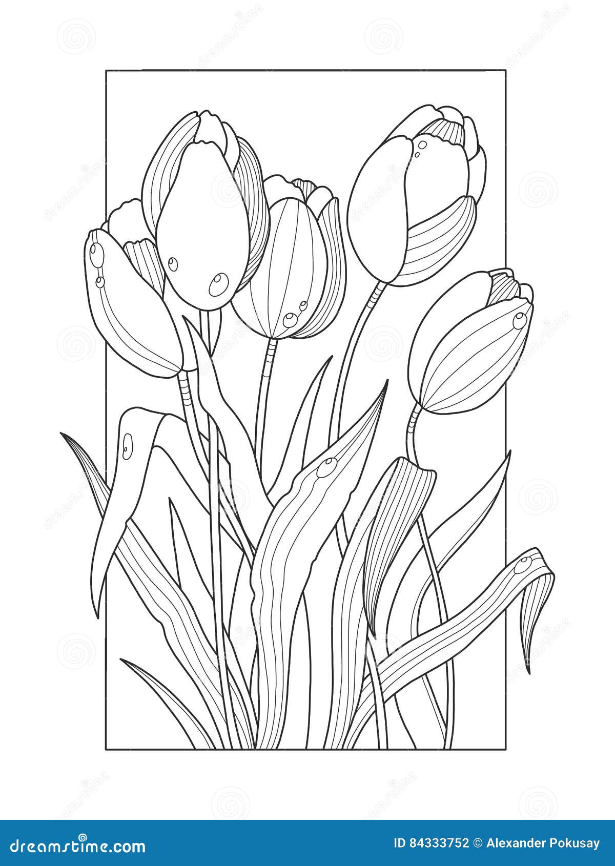 Tulip coloring stock illustrations â tulip coloring stock illustrations vectors clipart