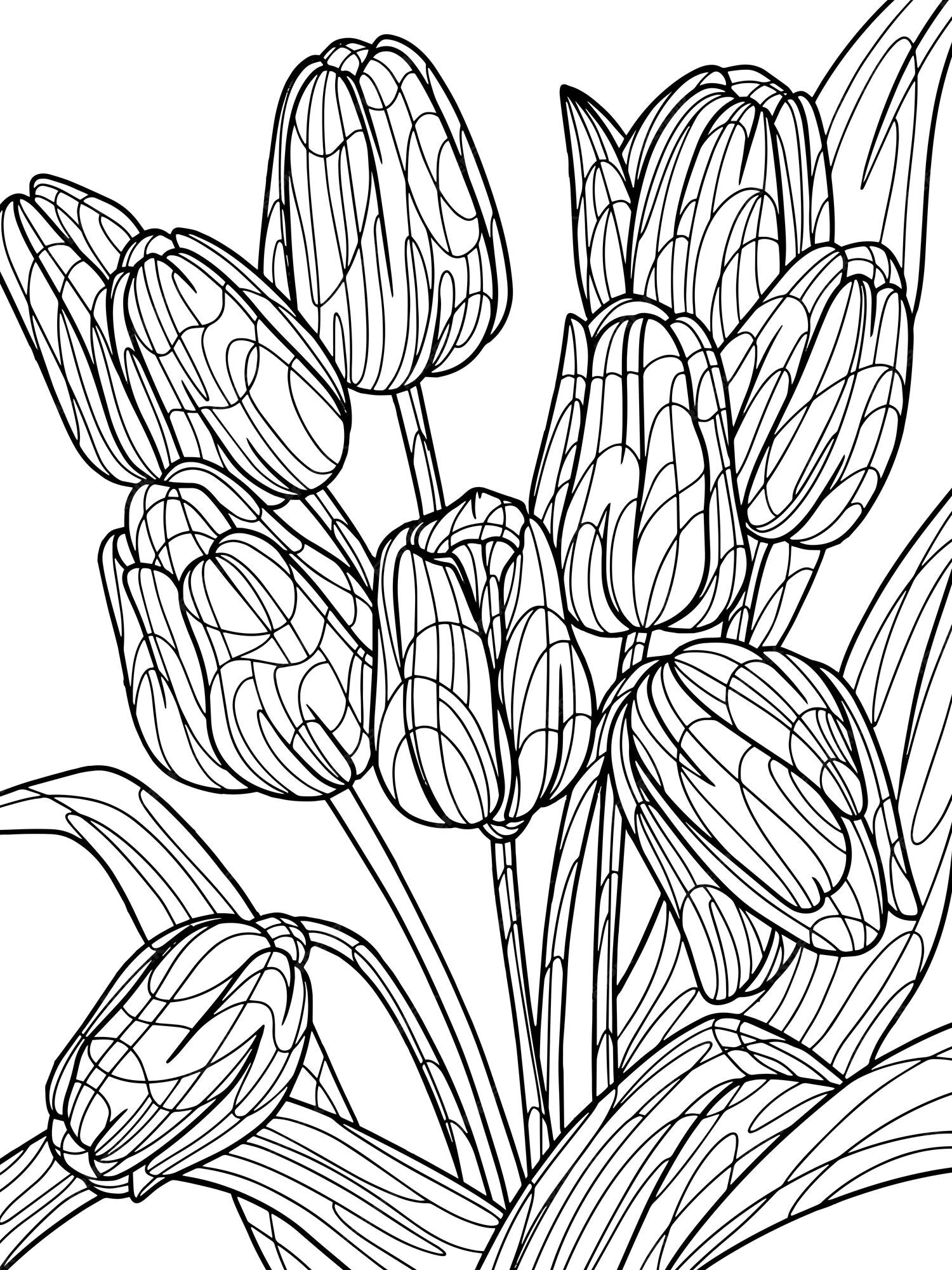 Premium vector flowers tulips isolated object white background coloring book antistress adults zentangle style