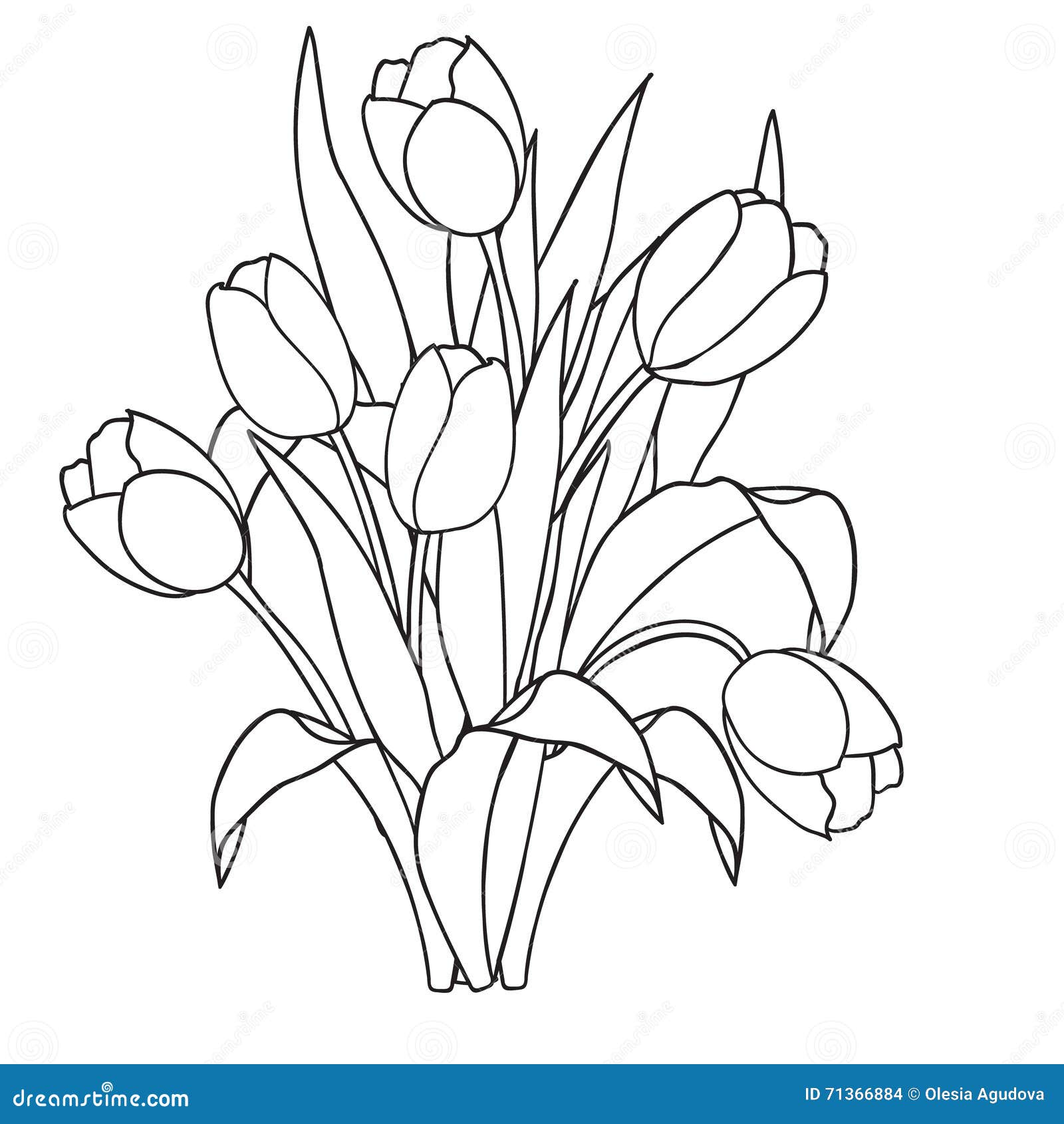 Tulips flowers ornamental black and white coloring pages stock vector