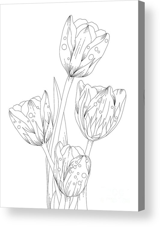 Tulips coloring page wall art black and white drawing acrylic print by lisa brando