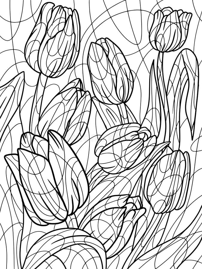 Coloring tulip plant full page flower zen outline vector page outline of cartoon stock vector