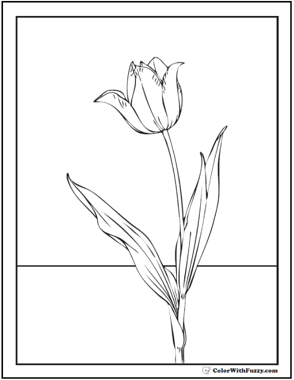Tulip flower coloring pages pdf printables