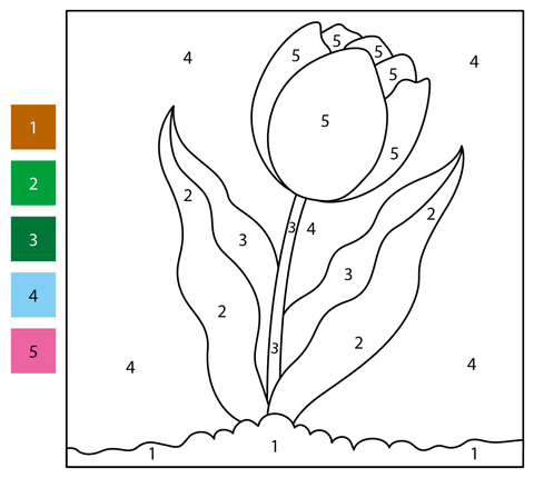 Tulip color by number free printable coloring pages