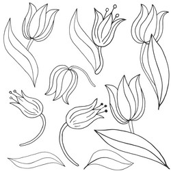 Tulip coloring pages vector images over