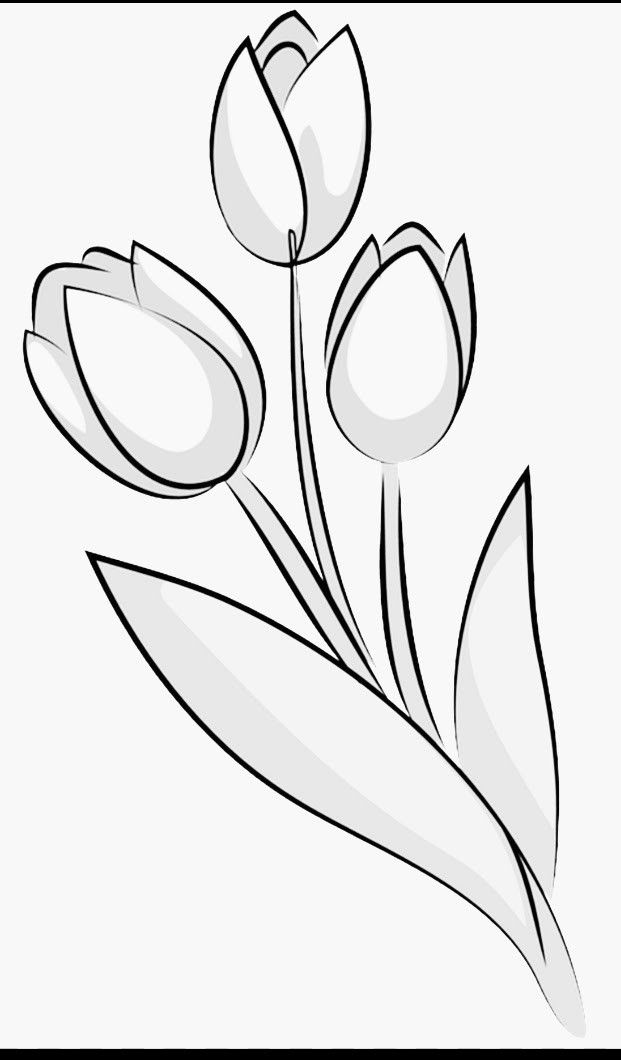 Pin by christinas creations on flowers tulip drawing flower drawing tutorials flower drawing