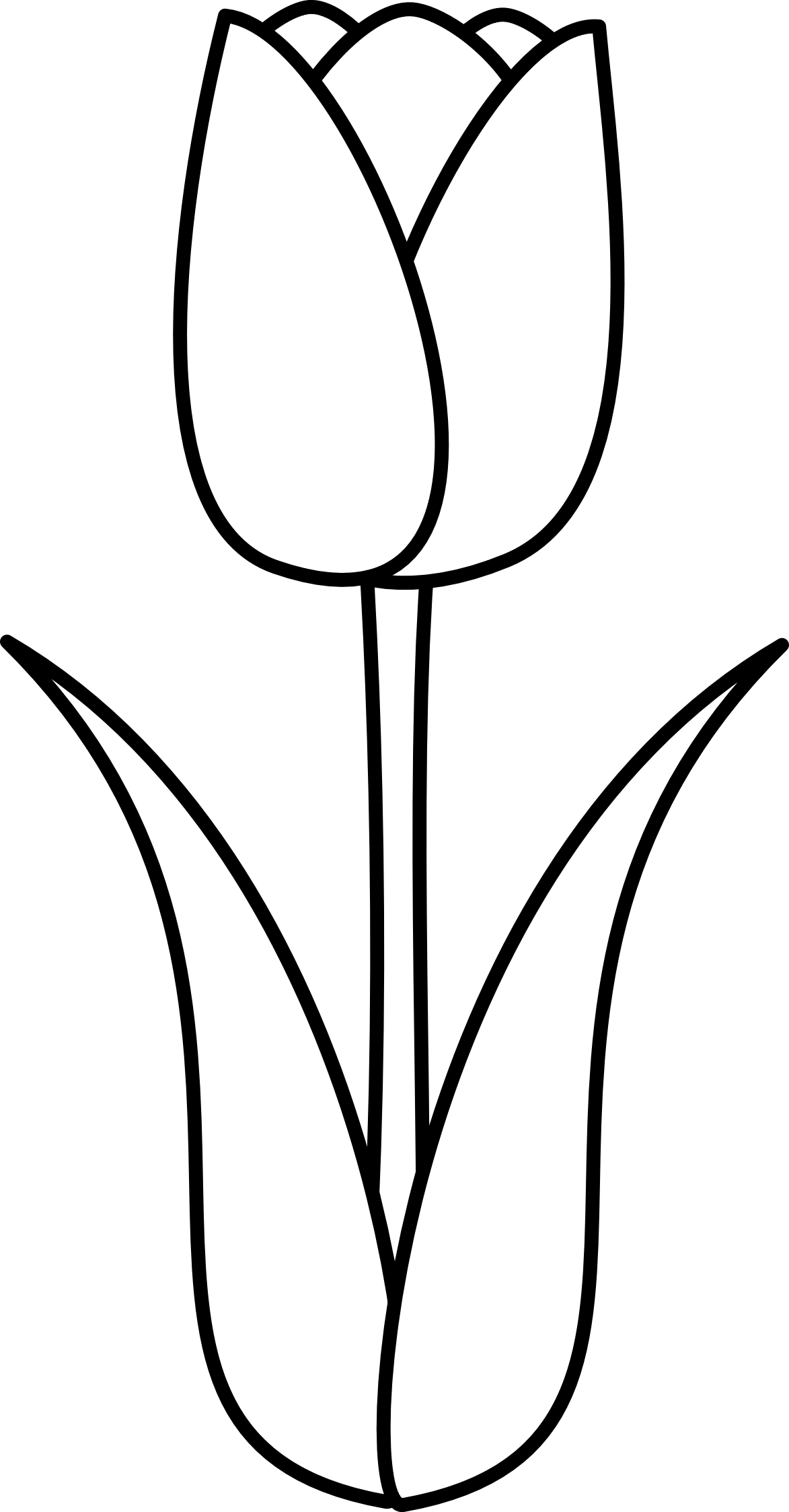 Tulipan flower coloring pages flower drawing rose coloring pages
