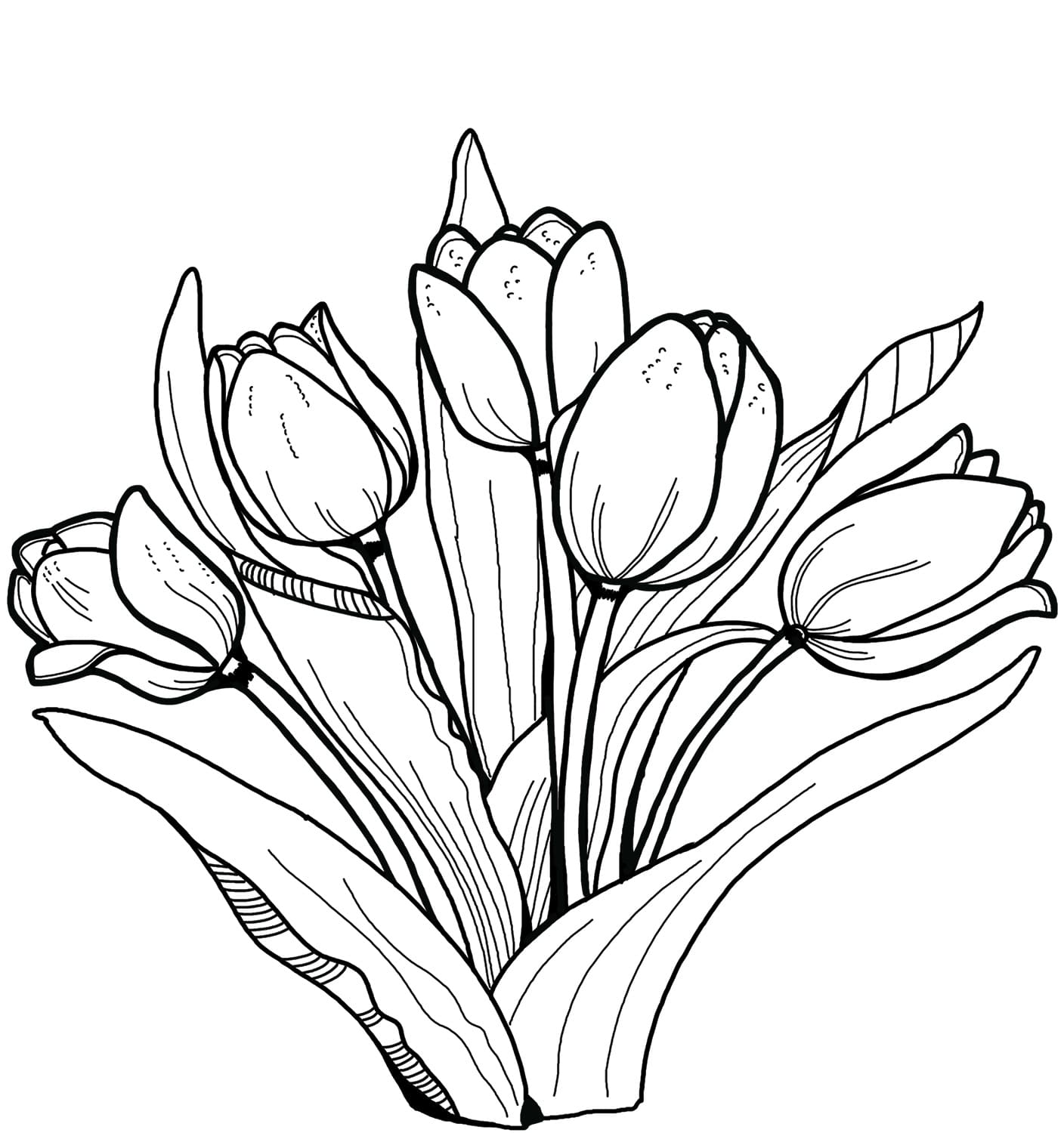 Dibujos de tulipanes para colorear