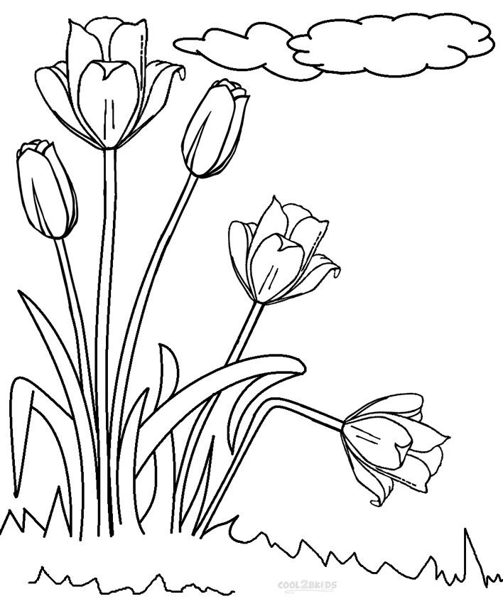 Dibujo de tulipanes para colorear