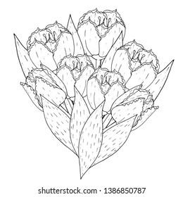 Floral template tulip printable coloring book stock vector royalty free