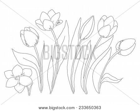 Coloring page vector photo free trial bigstock