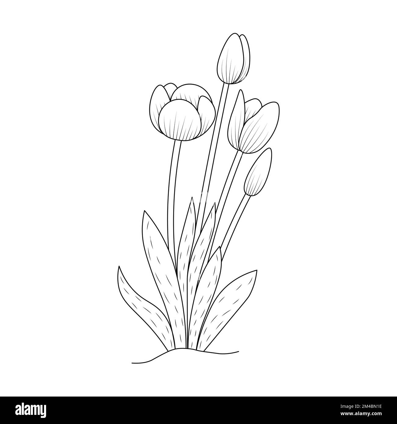 Drooping tulips stock vector images
