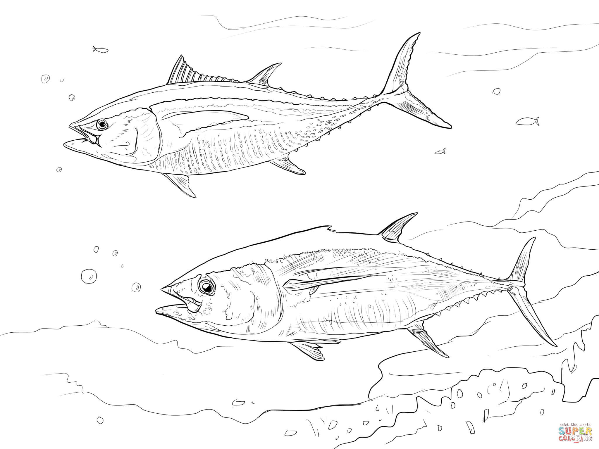 Yellowfin tuna coloring page free printable coloring pages