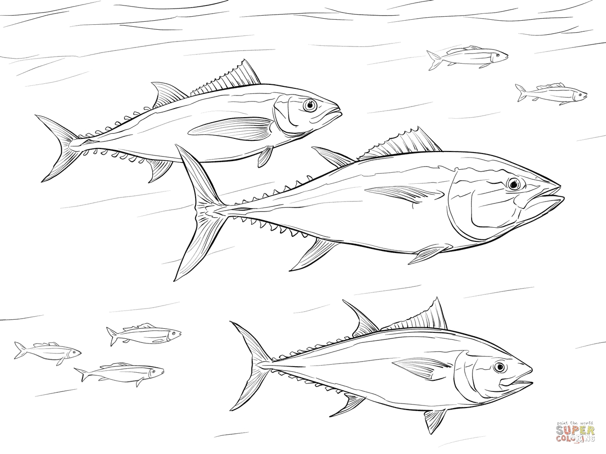 Tuna coloring pages printable for free download