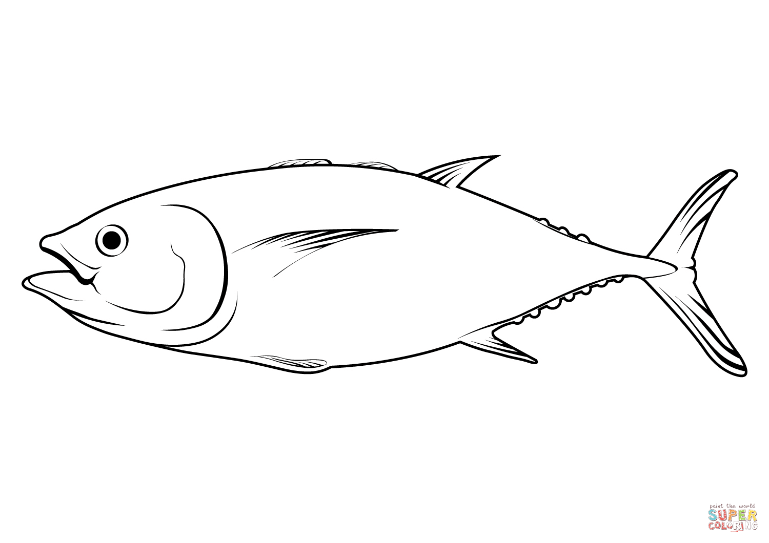 Southern bluefin tuna thunnus maccoyii coloring page free printable coloring pages